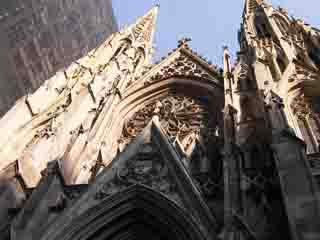 صور St. Patrick`s Cathedral معبد